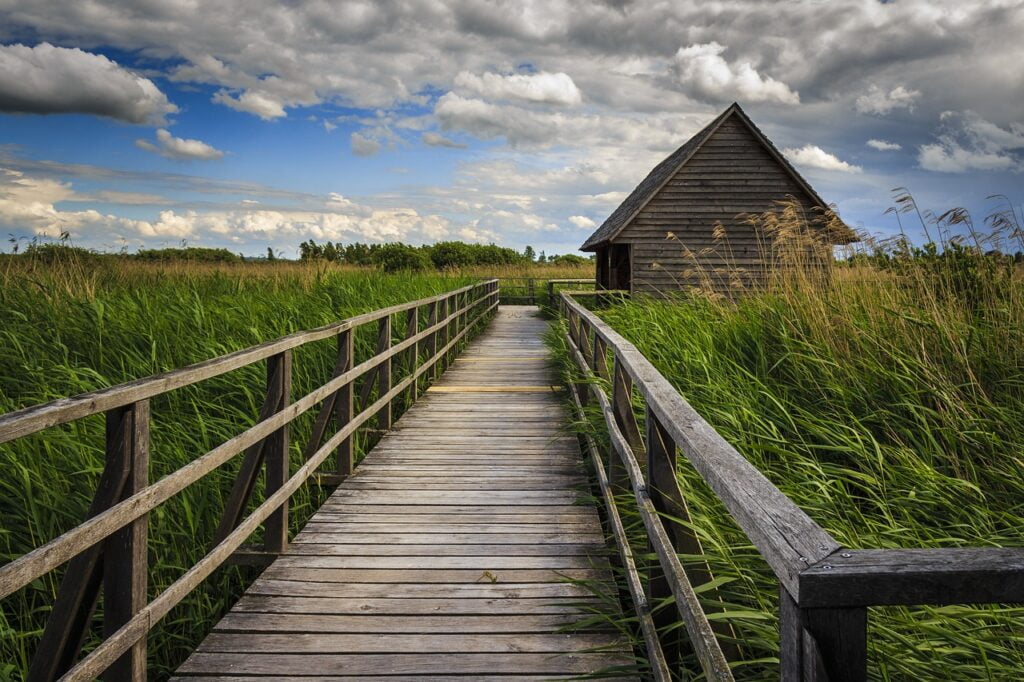 Best place for birding - How to Start Your Birding Journey