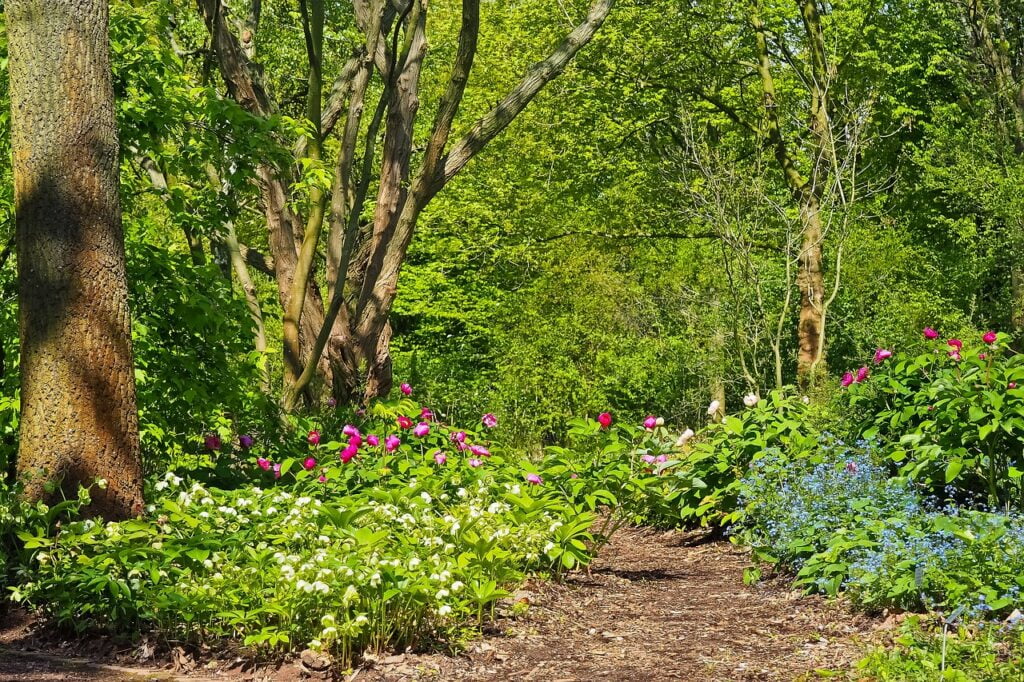 landscape, field, nature-12 Nature-friendly Solutions in Your Backyard