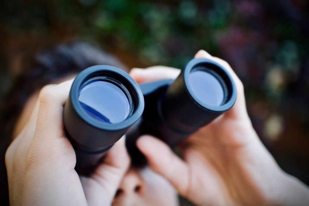 entry-level or high-end binoculars for birdwatching