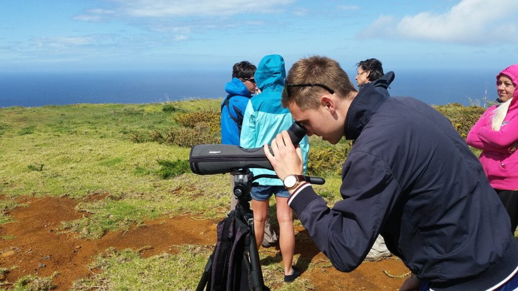 nature, observation, binoculars-2680642.jpg