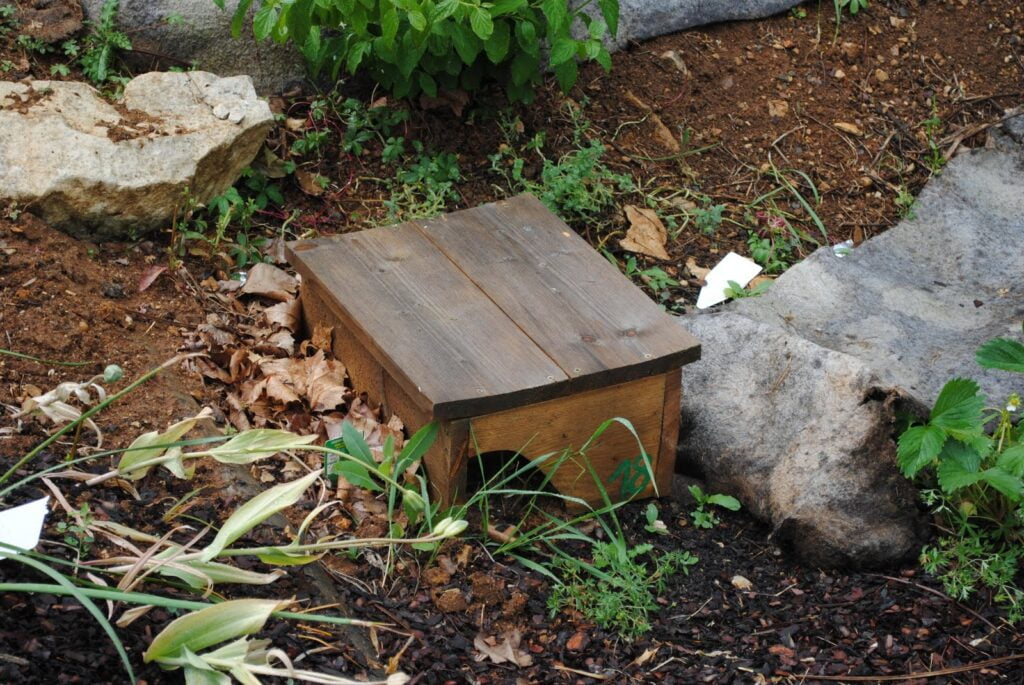 Hedgehog Hiding Places