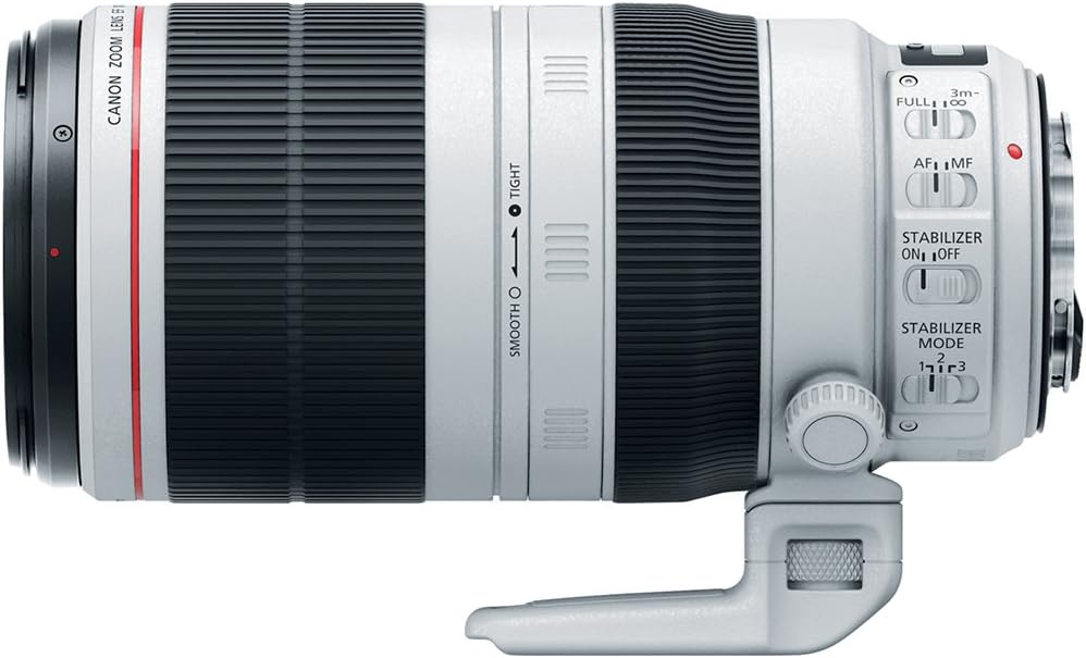 Canon EF 100-400mm f4.5-5.6L IS II Best camera and lens combinations