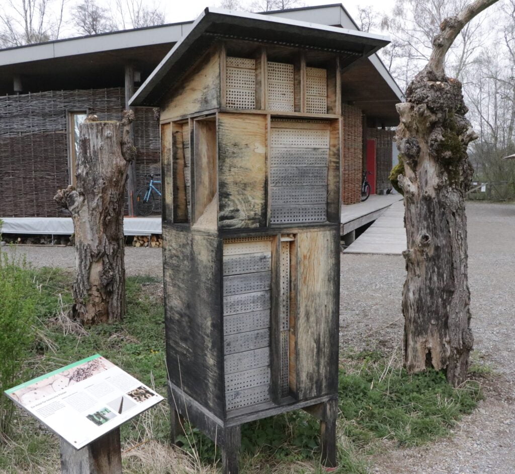 Wasp garage for educational pourposes Nurturing Wildlife Diversity in Your Nature-Friendly Garden