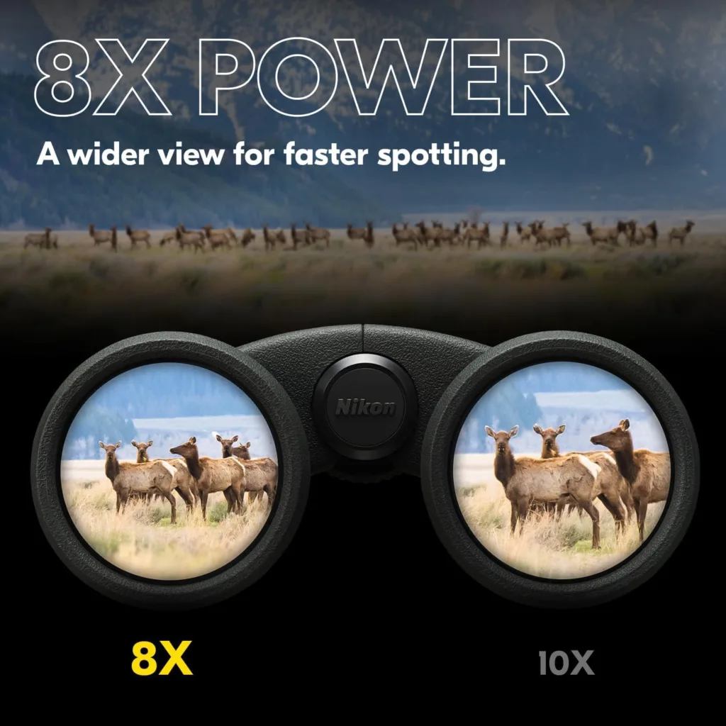 Nikon P3 8x42 binoculars 2