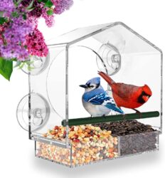 Window Bird Feeder one of 30 Ideas of Gifts for Bird Lovers