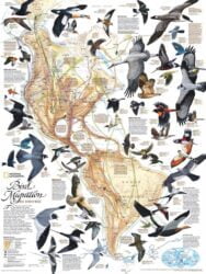 National Geographic Bird Migration - 1000 Piece Jigsaw Puzzle one of 30 Ideas of Gifts for Bird Lovers
