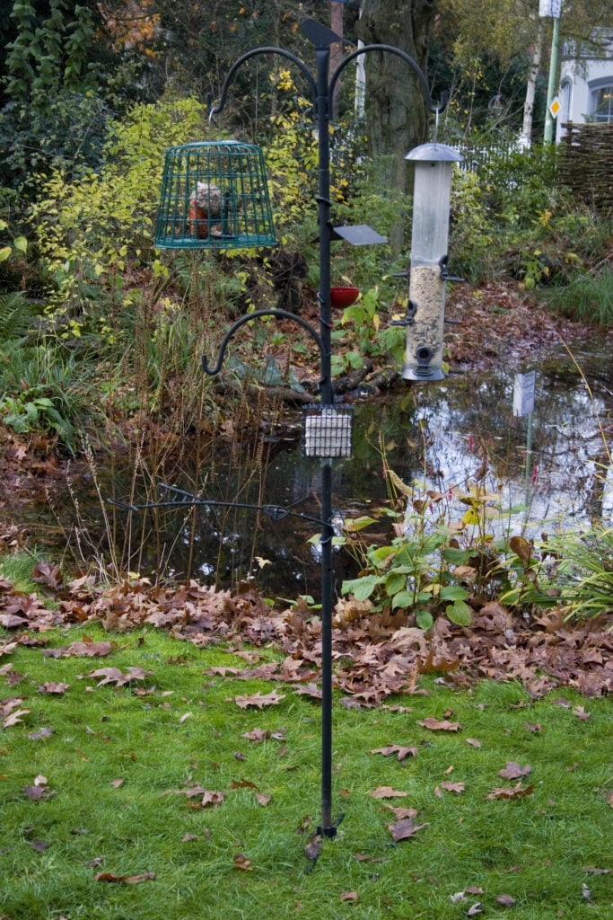 Bird feeding station