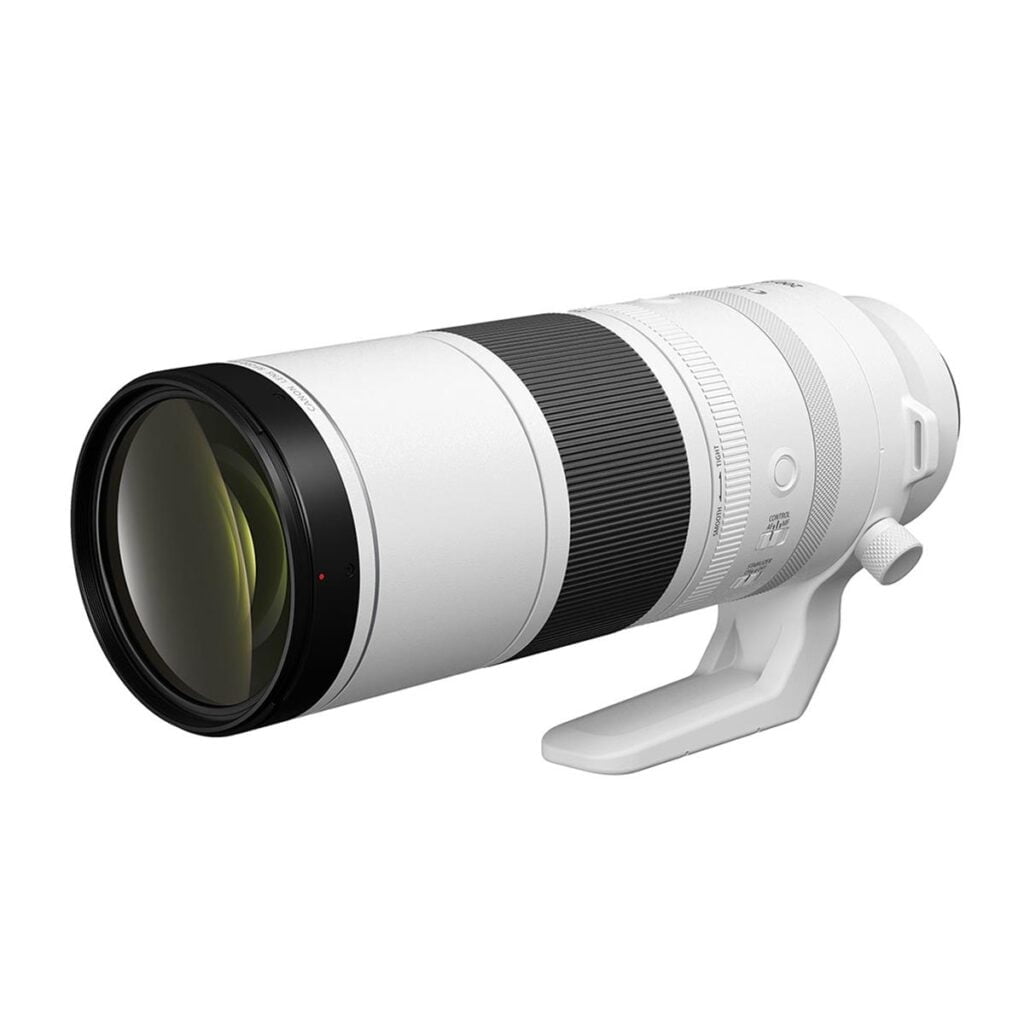 Canon RF 200-800mm f6.3-9 IS USM  bird photography lens