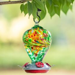 hummingbird feeders for outdoors hanging as a perfect delightful gift for bird lovers and birdwatchers