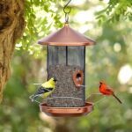 Metal Wild Bird Feeder with Copper