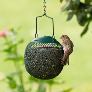 Metal Ball Bird Feeder