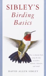 Sibley's Birding Basics one of 30 Ideas of Gifts for Bird Lovers