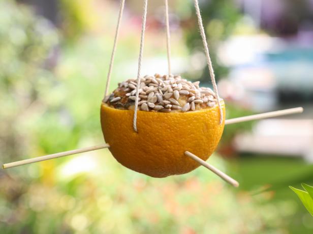 DIY bird feeder orange-Must Know Why And How To Feed Birds In Winter
