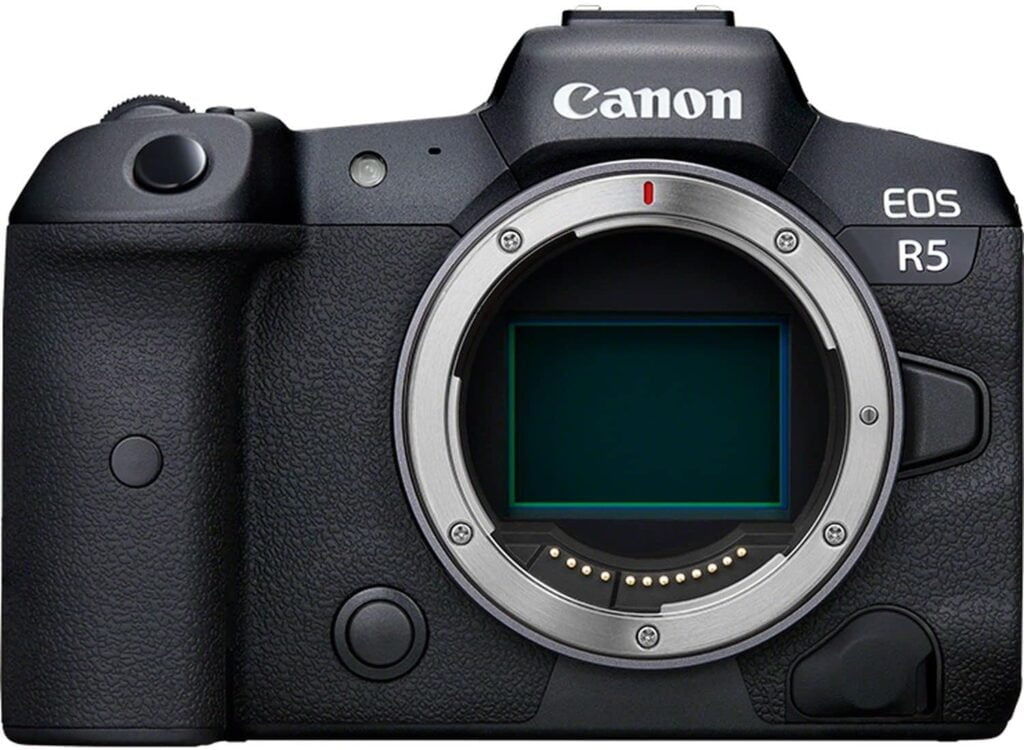 6 Best Mirrorless Cameras for Wildlife Photography - Canon EOS R5