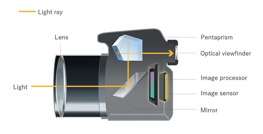 How to choose between DSLR or mirrorless cameras
