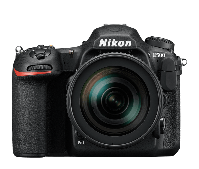 6 Best DSLR Cameras for Wildlife Photography - Nikon D500