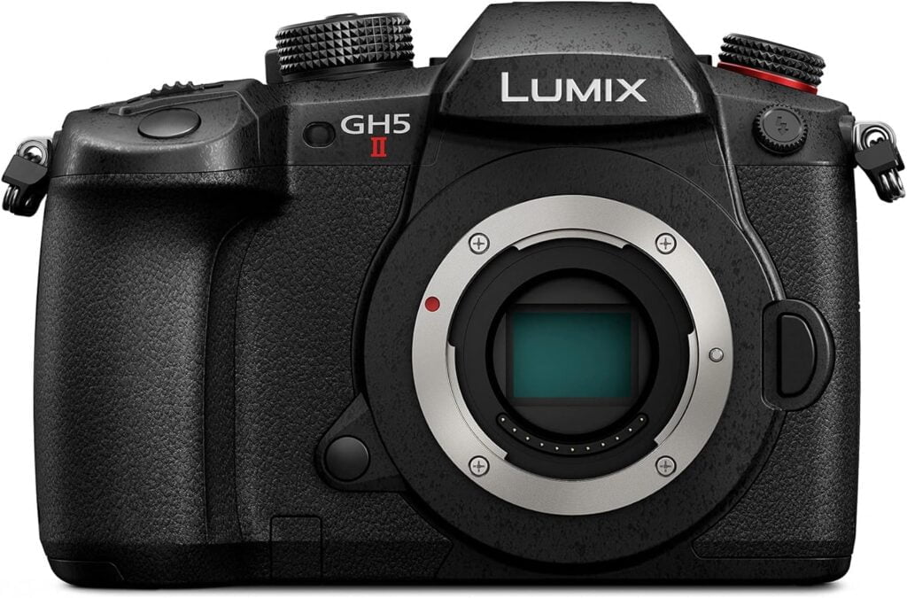 6 Best Mirrorless Cameras for Wildlife Photography - Panasonic Lumix GH5