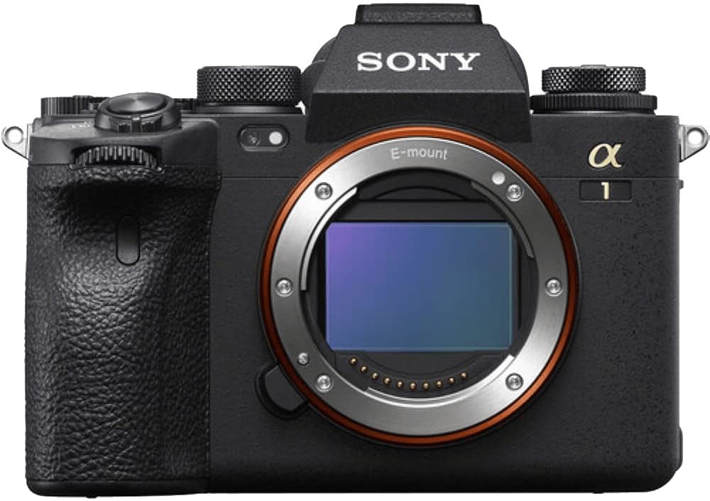 6 Best Mirrorless Cameras for Wildlife Photography - Sony Alpha A1