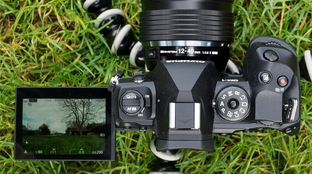 OM-1_6 Best mirrorless cameras for nature photography OM System