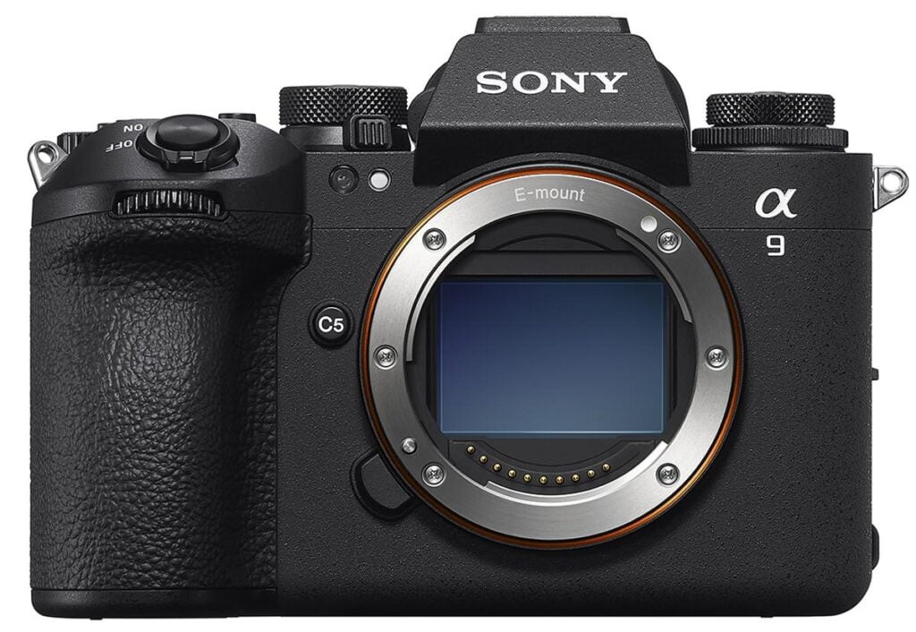 Sony Alpha a9 III Mirrorless Camera Game-changing experience for bird and nature photographers