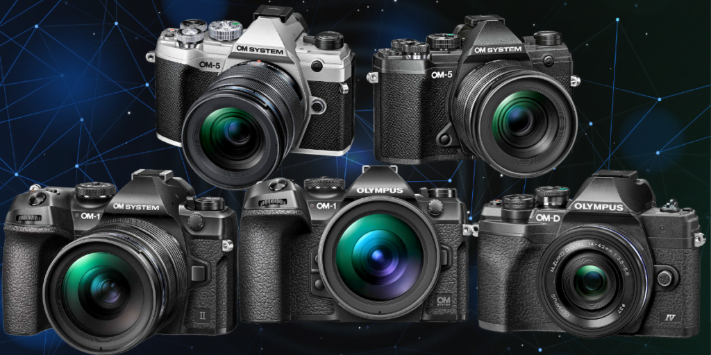 OM System Best Mirrorless Cameras for Nature Photography