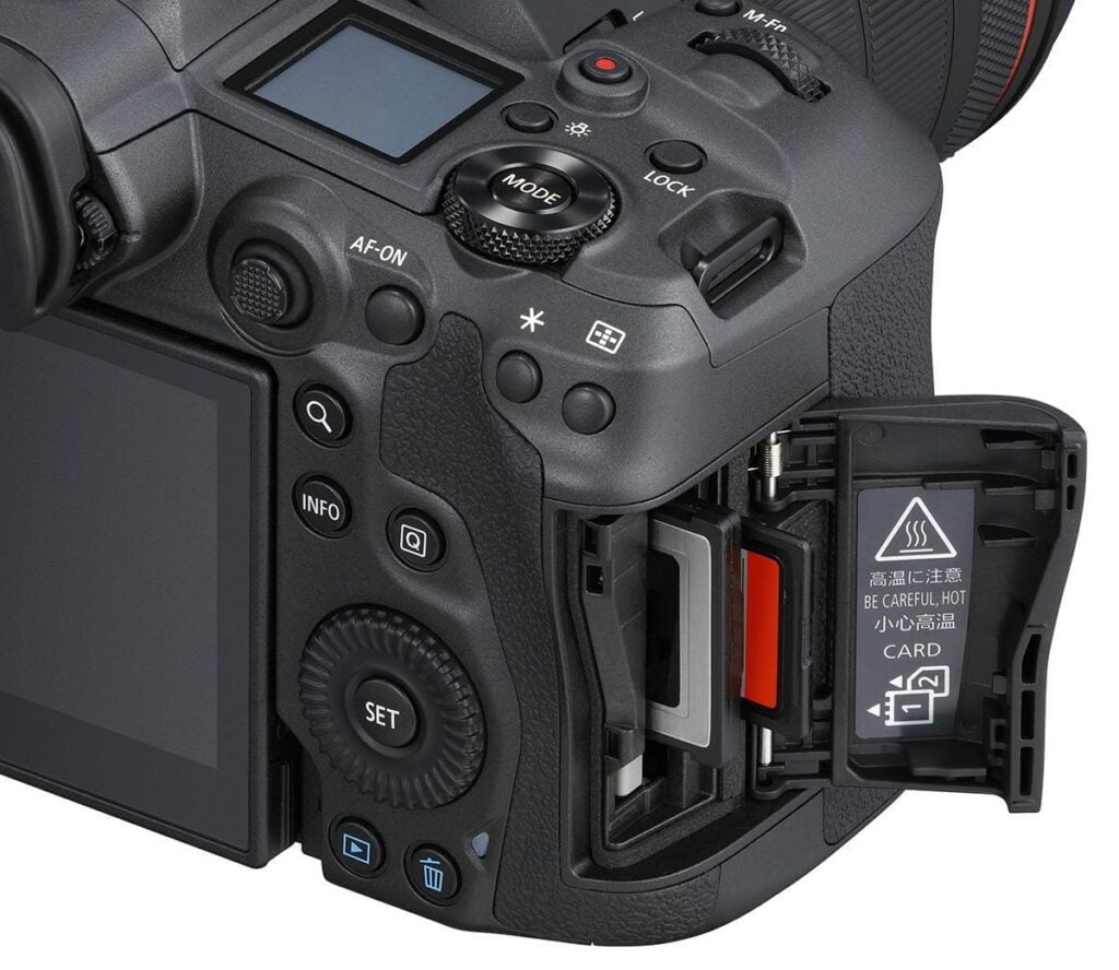 Canon EOS R5 the full-frame mirrorless camera for wildlife photography