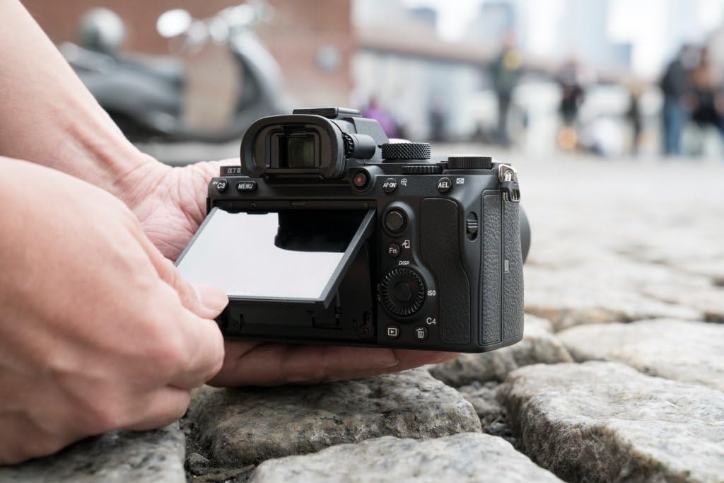 Sony A7 III - 2