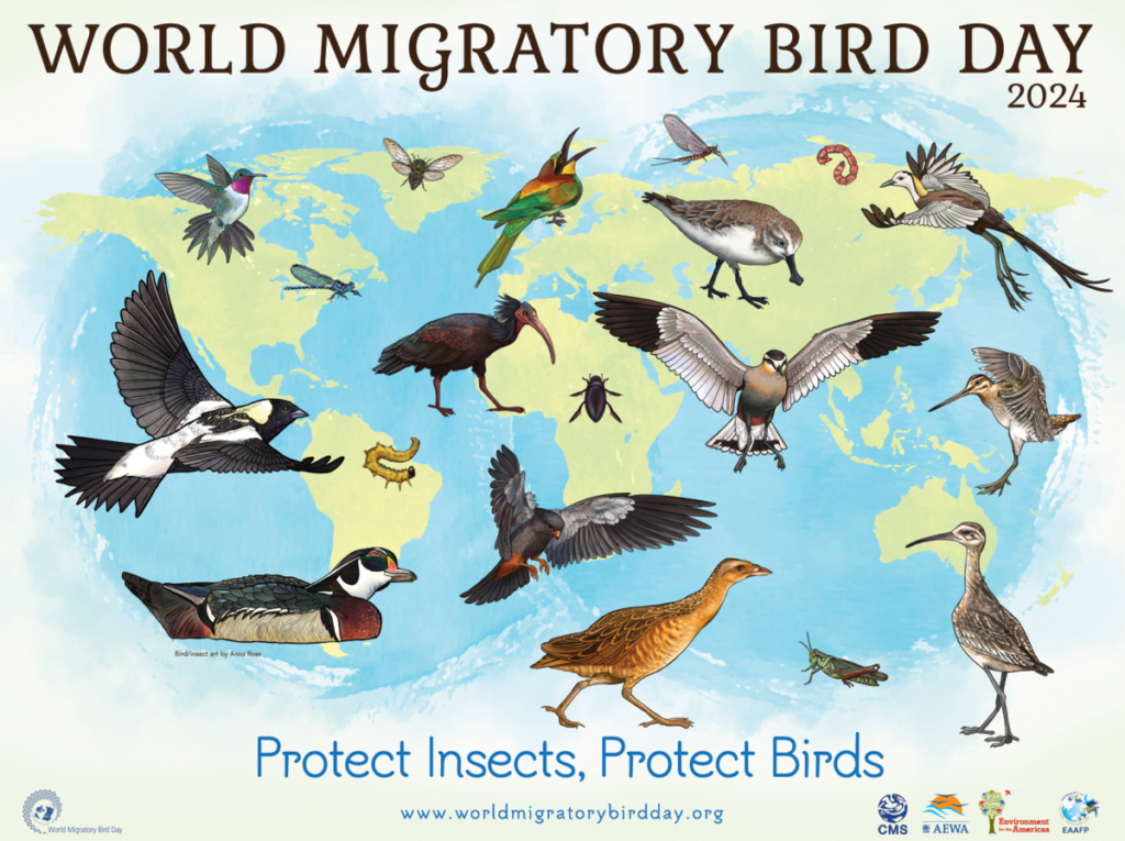 WMBD Global Poster