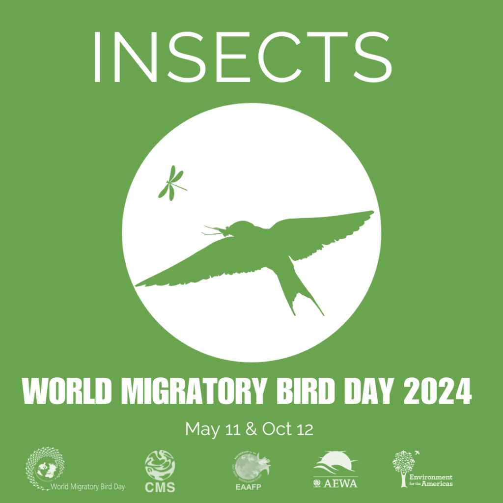 WORLD-MIGRATORY-BIRD-DAY-