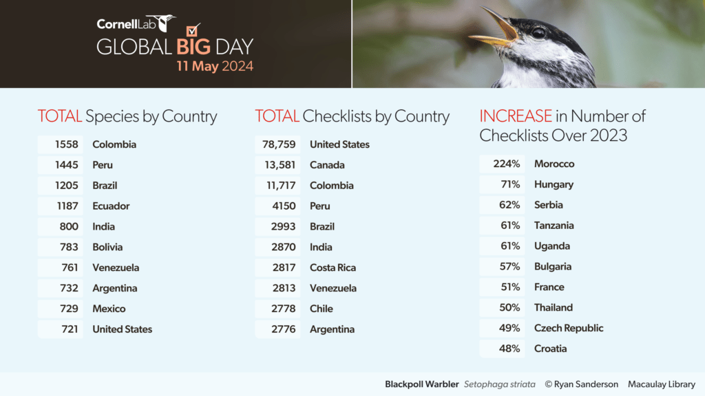 Global Big Day 2024