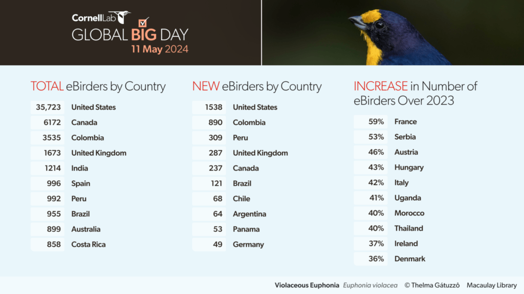 Global Big Day 2024

