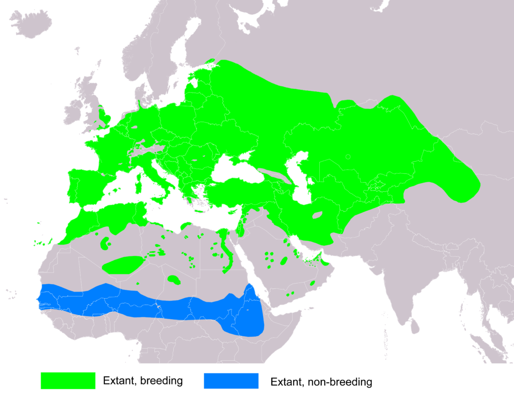 Distribution map of the European Turtle-dove