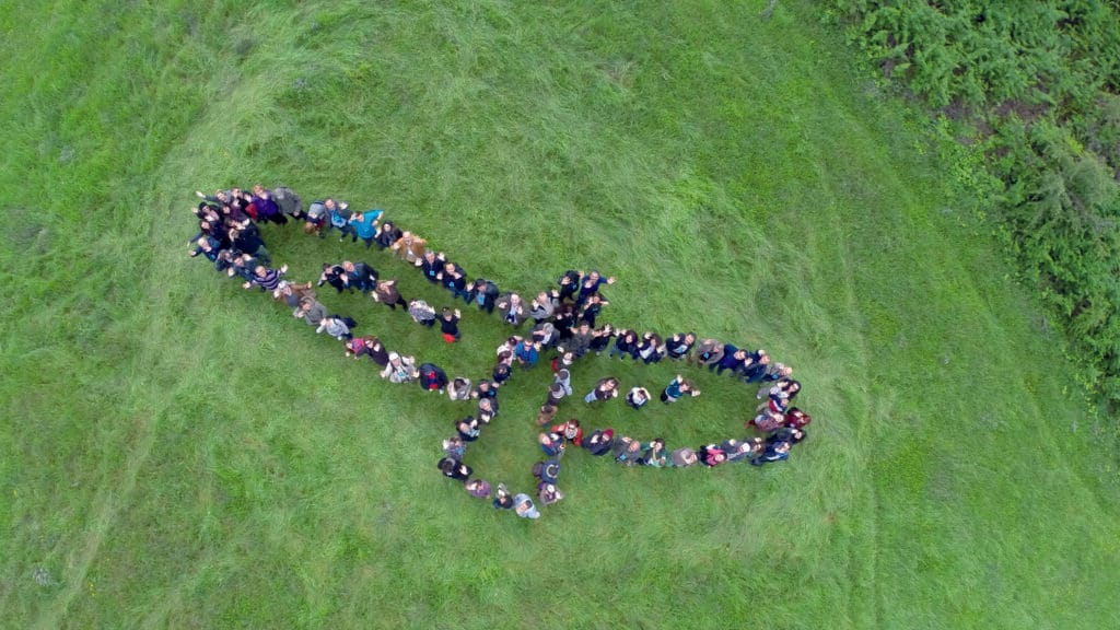 Celebrate Migratory Birds