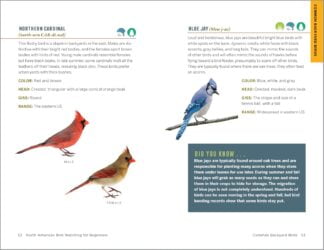 Bird Watching Field Notes - 1
