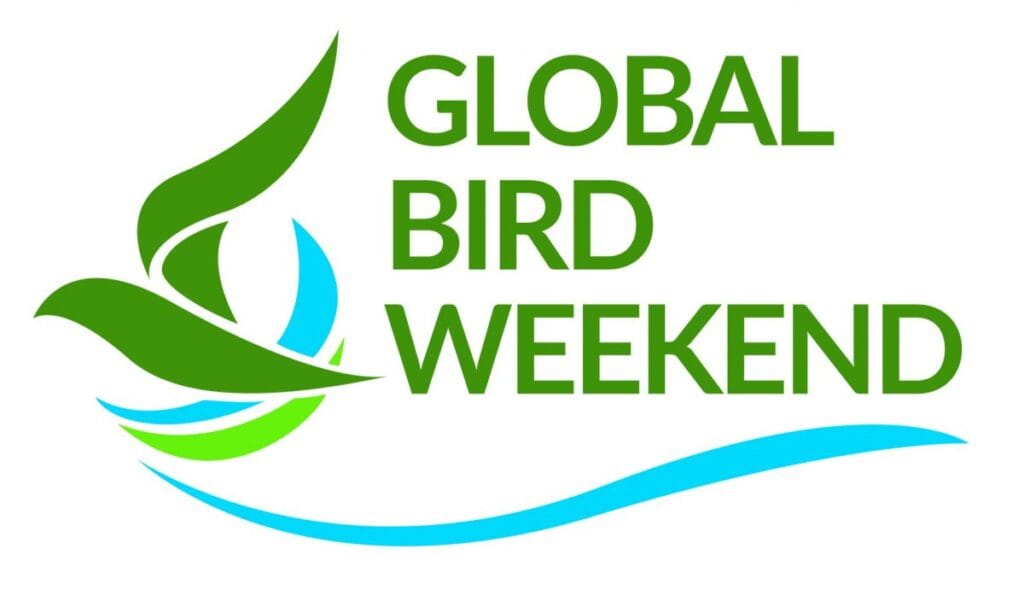 Global Bird Weekend 2024
