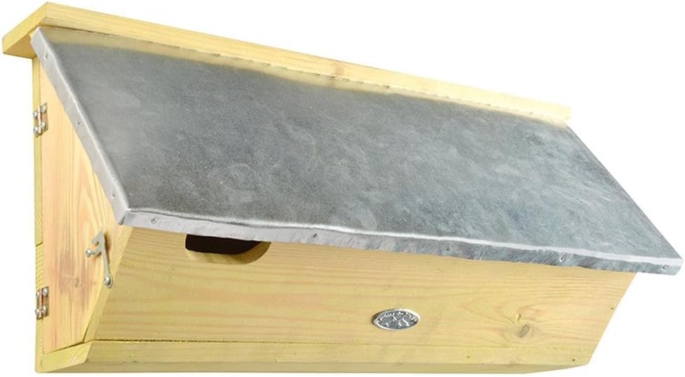 Nest box for Common Swift -1