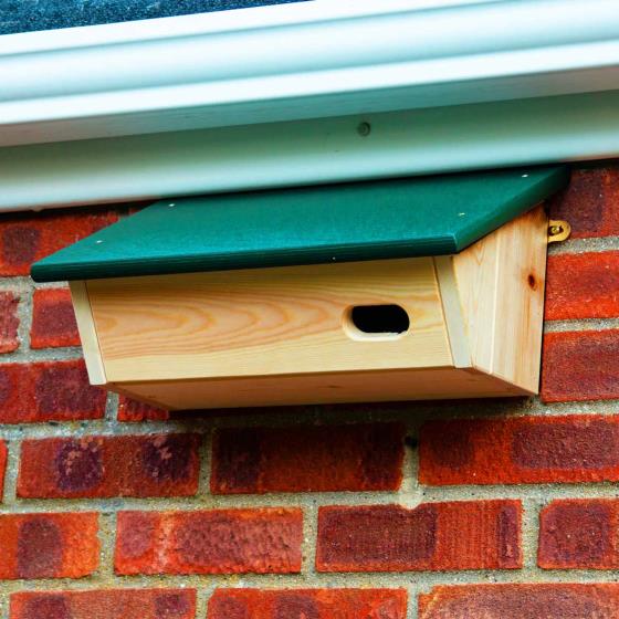 Nest box for Common Swift