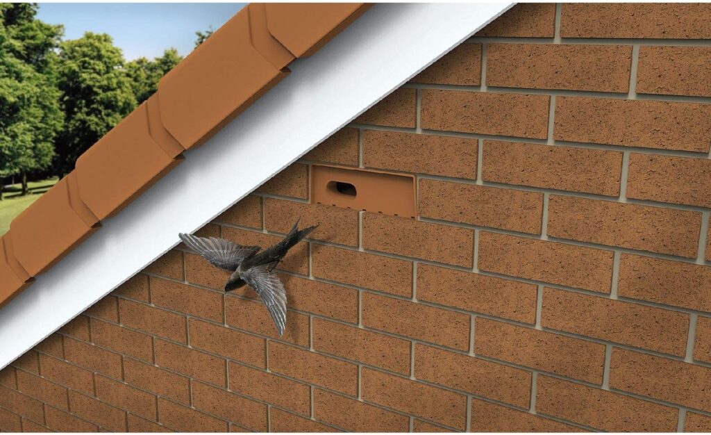 Nesting bricks for Common Swift