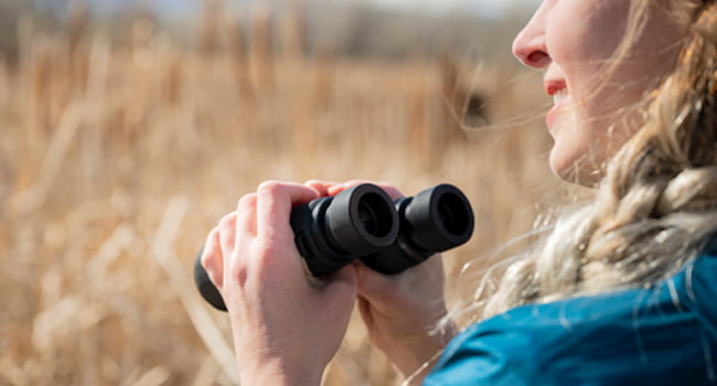 Nikon PROSTAFF P7 10x42 binoculars