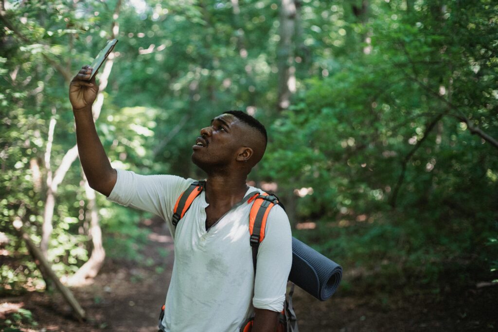 Smartphones vs Traditional Gear for Birding