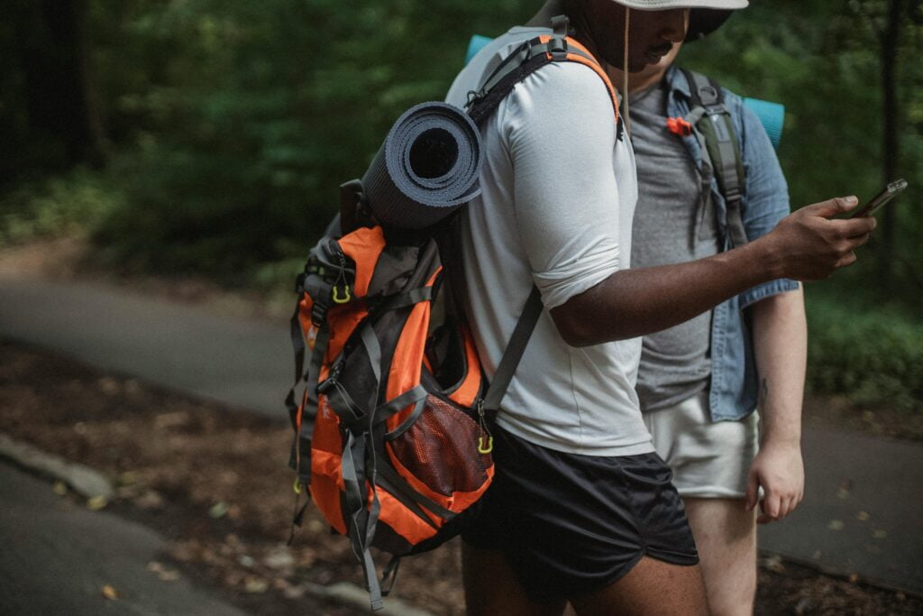 Smartphones vs Traditional Gear for Birding