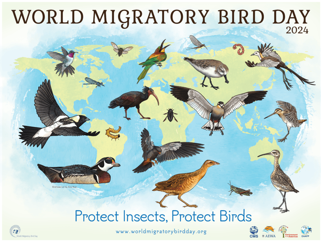 Prime Day birding gear