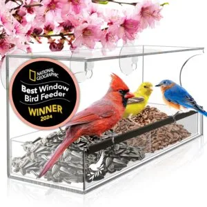 Nature's Hangout Window Bird Feeder