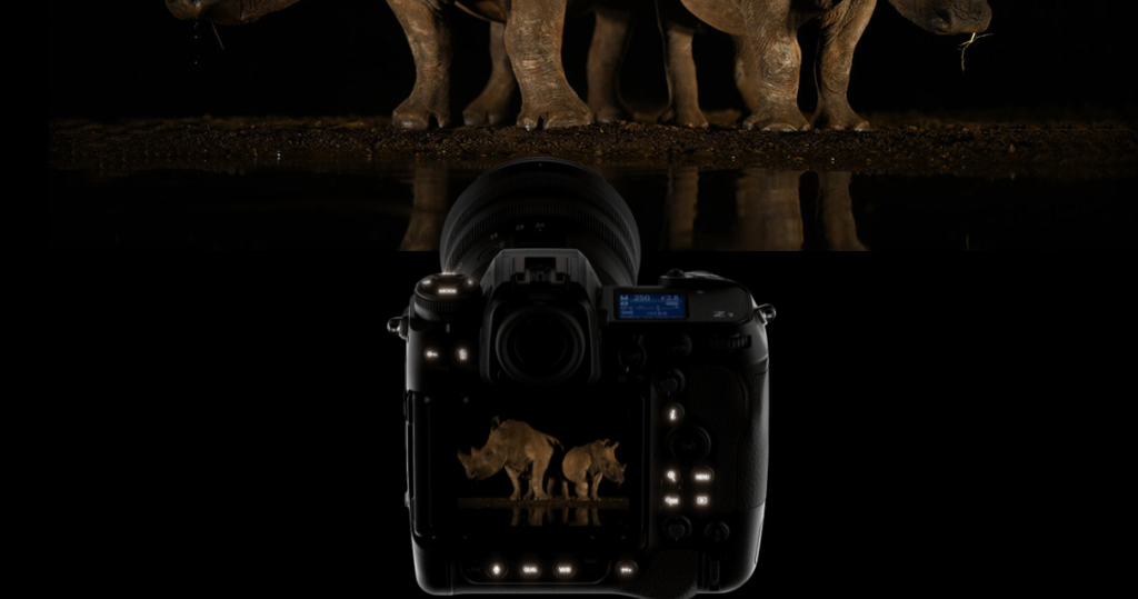 Nikon Z9 wildlife photographer camera