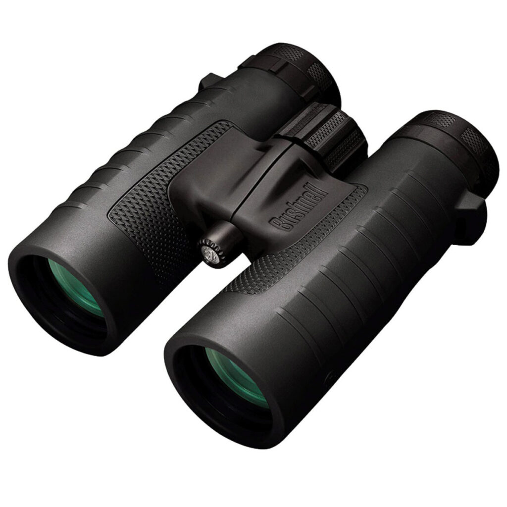Bushnell 10x42mm Trophy XLT