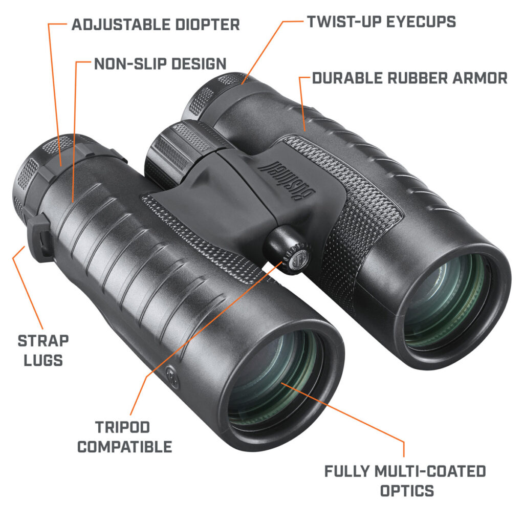 Best Bushnell Entry-level Binoculars
