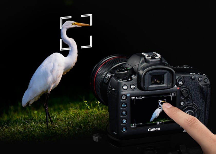Canon DSLR Camera