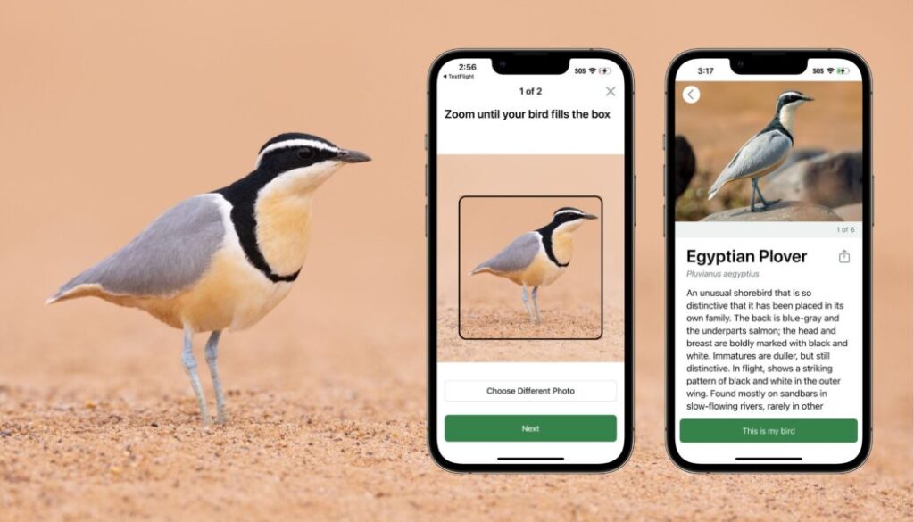 eBird app