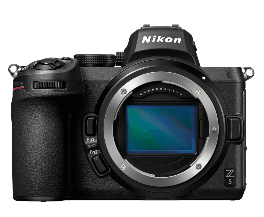 Best Nikon Camera for Bird and Wildlife Photography