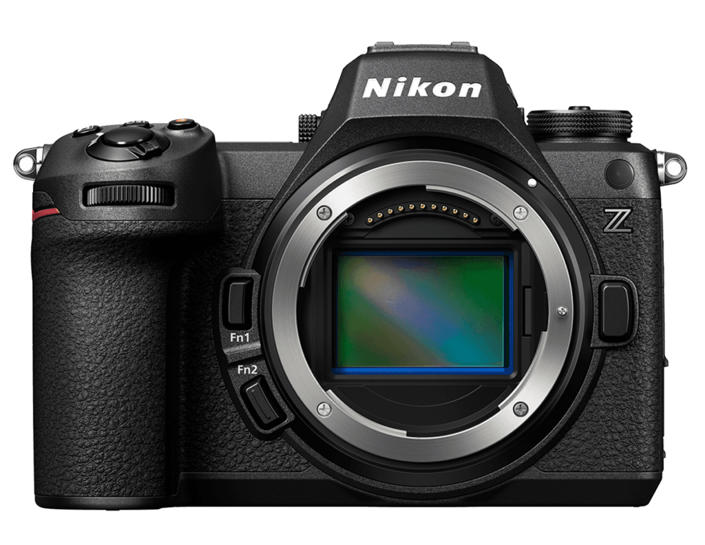 Best Nikon Camera for Bird and Wildlife Photography